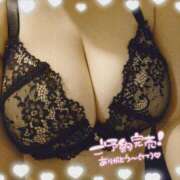 ヒメ日記 2026/01/24 10:32 投稿 佐々木 ののか 大奥 難波店