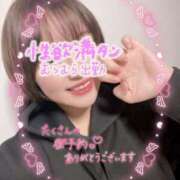 ヒメ日記 2026/01/24 14:09 投稿 めめ 京都祇園・南インターちゃんこ