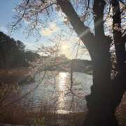 ヒメ日記 2026/04/03 21:04 投稿 きらら でりどす