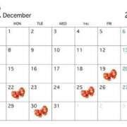 ヒメ日記 2025/12/18 21:07 投稿 【花摘 せいらん】 梅田ムチSpa女学院