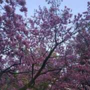 ヒメ日記 2026/02/28 19:34 投稿 道場 熟女の風俗最終章 横浜本店