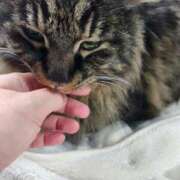 ヒメ日記 2026/03/04 10:04 投稿 道場 熟女の風俗最終章 横浜本店