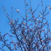 ヒメ日記 2026/03/07 12:04 投稿 道場 熟女の風俗最終章 横浜本店