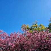 ヒメ日記 2026/03/08 08:04 投稿 道場 熟女の風俗最終章 横浜本店