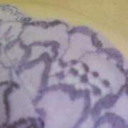 ヒメ日記 2026/03/11 16:54 投稿 道場 熟女の風俗最終章 横浜本店