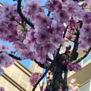 ヒメ日記 2026/03/22 19:59 投稿 道場 熟女の風俗最終章 横浜本店