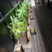 ヒメ日記 2026/04/17 14:04 投稿 道場 熟女の風俗最終章 横浜本店