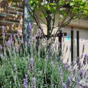 ヒメ日記 2026/04/18 06:24 投稿 道場 熟女の風俗最終章 横浜本店