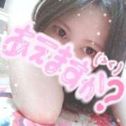 ヒメ日記 2026/02/24 23:16 投稿 あおい 三浦屋別館