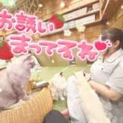 ヒメ日記 2026/08/15 17:36 投稿 あおい 三浦屋別館