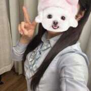 あいか はじめましてっ︎💕︎︎ チェリー