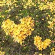 ヒメ日記 2026/02/06 02:47 投稿 前川早織 五十路マダム 博多店