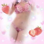 ヒメ日記 2025/12/19 07:06 投稿 ミヤビ ルパン