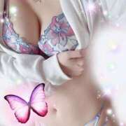 ヒメ日記 2026/01/09 15:06 投稿 ミヤビ ルパン