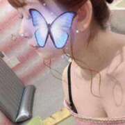 ヒメ日記 2026/02/18 12:16 投稿 ミヤビ ルパン