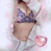 ヒメ日記 2026/02/24 12:46 投稿 ミヤビ ルパン