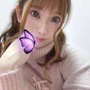 ヒメ日記 2026/03/23 12:42 投稿 ミヤビ ルパン