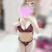 ヒメ日記 2026/04/08 16:15 投稿 ミヤビ ルパン