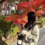 とうか 向かってまーす🚄💨 若葉