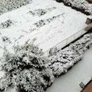 ヒメ日記 2026/03/10 12:49 投稿 千里（せんり） 熟女の風俗最終章 大宮店