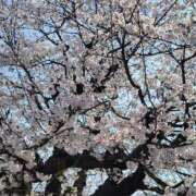 ヒメ日記 2026/03/28 15:05 投稿 千里（せんり） 熟女の風俗最終章 大宮店