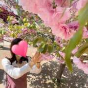 ヒメ日記 2026/03/05 15:05 投稿 みほ ぐっすり山田 横浜店