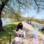 ヒメ日記 2026/03/15 12:15 投稿 みほ ぐっすり山田 横浜店