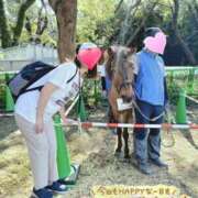 ヒメ日記 2026/03/19 12:15 投稿 みほ ぐっすり山田 横浜店