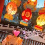 ヒメ日記 2026/03/31 12:06 投稿 みほ ぐっすり山田 横浜店