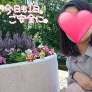 ヒメ日記 2026/04/11 12:25 投稿 みほ ぐっすり山田 横浜店