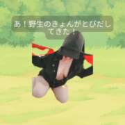 ヒメ日記 2026/09/20 07:03 投稿 きょん 恋色 (コイイロ)