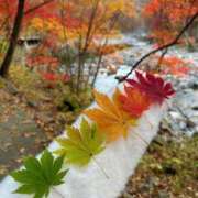 きょん お兄様と私……私たちにピッタリな季節……🍁🍂 恋色 (コイイロ)