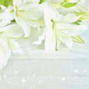 ほのか こんにちは あとりえ(ATELIER)