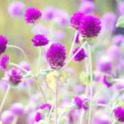 ヒメ日記 2025/12/23 23:26 投稿 ほのか あとりえ(ATELIER)