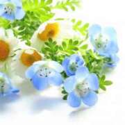 ヒメ日記 2025/12/24 23:42 投稿 ほのか あとりえ(ATELIER)