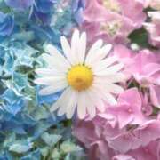 ヒメ日記 2025/12/25 22:44 投稿 ほのか あとりえ(ATELIER)