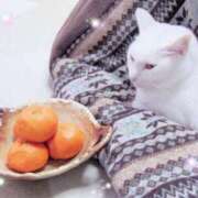 ヒメ日記 2026/01/27 12:52 投稿 ほのか あとりえ(ATELIER)