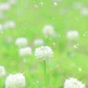 ヒメ日記 2026/02/05 12:59 投稿 ほのか あとりえ(ATELIER)