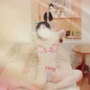 ヒメ日記 2026/02/19 00:15 投稿 ほのか あとりえ(ATELIER)