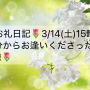 ヒメ日記 2026/03/15 18:31 投稿 ほのか あとりえ(ATELIER)
