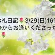 ヒメ日記 2026/03/31 07:02 投稿 ほのか あとりえ(ATELIER)