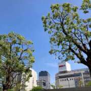 ヒメ日記 2026/04/19 13:45 投稿 ほのか あとりえ(ATELIER)