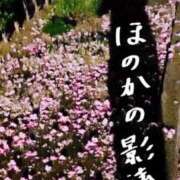 ヒメ日記 2026/04/21 12:06 投稿 ほのか あとりえ(ATELIER)
