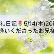ヒメ日記 2026/05/16 19:31 投稿 ほのか あとりえ(ATELIER)