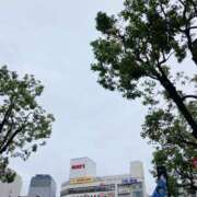 ヒメ日記 2026/05/28 15:44 投稿 ほのか あとりえ(ATELIER)