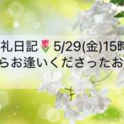ヒメ日記 2026/05/30 17:31 投稿 ほのか あとりえ(ATELIER)