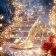 ヒメ日記 2026/01/27 07:55 投稿 ひびき 横浜おかあさん