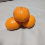 ヒメ日記 2026/01/28 07:15 投稿 ひびき 横浜おかあさん