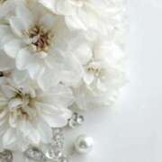 ヒメ日記 2026/02/21 13:15 投稿 ひびき 横浜おかあさん