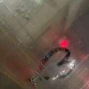 ヒメ日記 2025/12/25 08:49 投稿 くう ぷるるん小町日本橋店